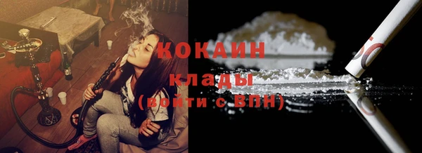 спиды Богородицк