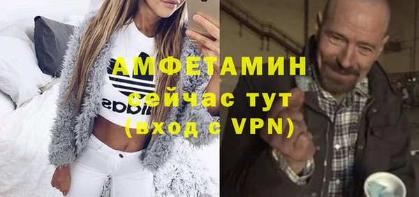спиды Богородицк